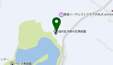 深沢紅子野の花美術館の地図画像