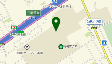 昭和女子大学 人見記念講堂の地図画像