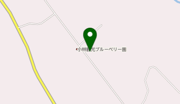 小林観光ブルーベリー園の地図画像