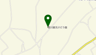 音川観光ぶどう園の地図画像