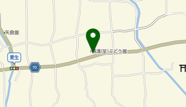 横溝(呈)ぶどう園の地図画像