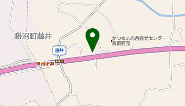 金果園の地図画像
