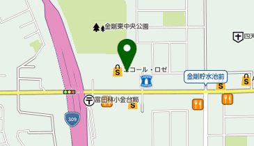 イオンスタイル金剛東の地図画像