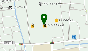 イオンタウン大垣の地図画像
