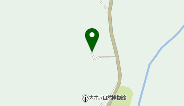 旧大井沢小学校グラウンドの地図画像