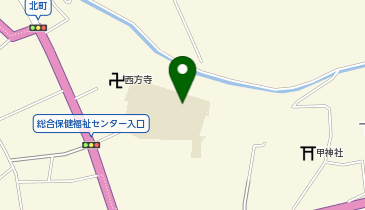 大宮小学校体育館の地図画像