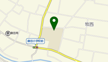 藤田小学校の地図画像
