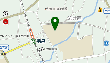 毛呂山町立毛呂山小学校の地図画像