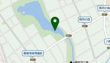 善福寺公園・東京女子大学一帯の地図画像