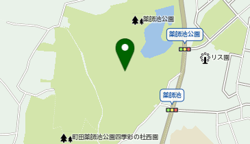 薬師池公園の地図画像
