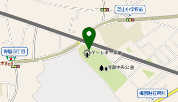 清瀬市立南部児童館・清瀬市立南部図書館・清瀬市立梅園地域市民センターの地図画像