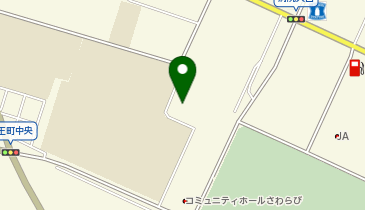 南魚沼市大和B&G 海洋センター体育館の地図画像