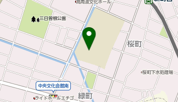 新湊小学校の地図画像