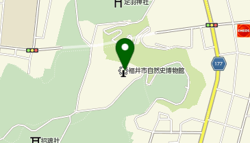 自然史博物館の地図画像