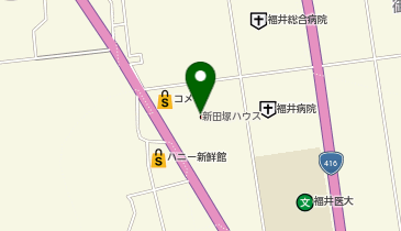 新田塚ハウスの地図画像