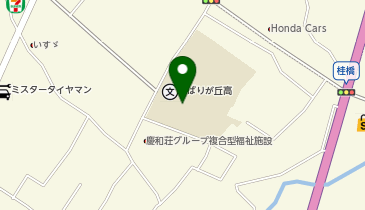 県立ひばりが丘高等学校の地図画像