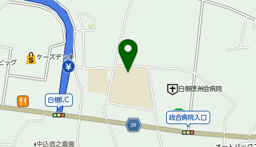 白根東小学校(校舎)の地図画像