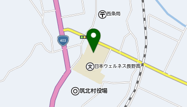 日本ウェルネス長野高等学校 校庭の地図画像
