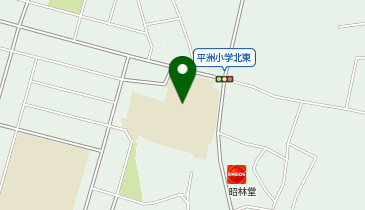 平洲小学校の地図画像