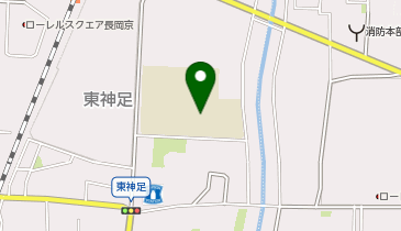 長岡京市立長岡第九小学校の地図画像