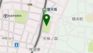天神ノ森公園の地図画像