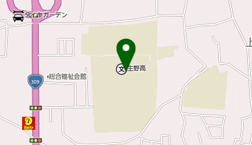 府立生野高等学校の地図画像