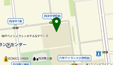 向洋中学校の地図画像