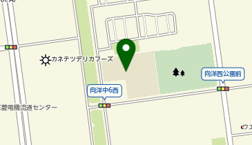 向洋小学校の地図画像