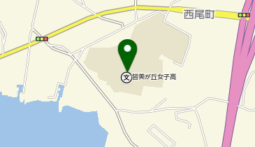 皆美が丘女子高等学校の地図画像