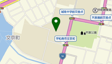 城南中学校の地図画像