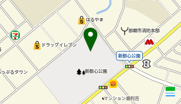 新都心公園の地図画像