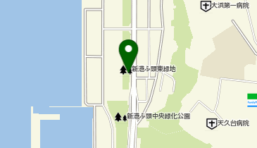 新港ふ頭東緑地の地図画像