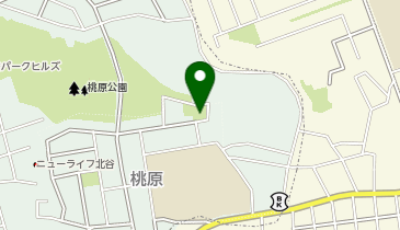 桃原東公園の地図画像