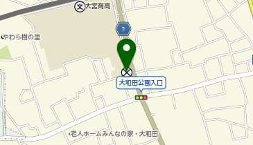 大宮東警察署大和田交番の地図画像