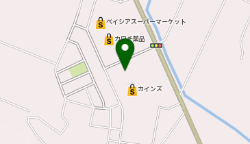 カインズ 小山店の地図画像