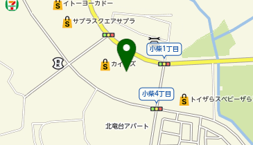 カインズ 龍ケ崎店の地図画像