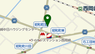 WORKMAN Plus 岡崎昭和店の地図画像