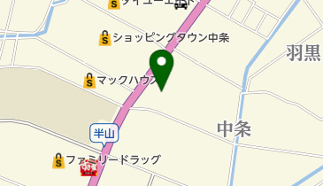 しまむら 中条店の地図画像