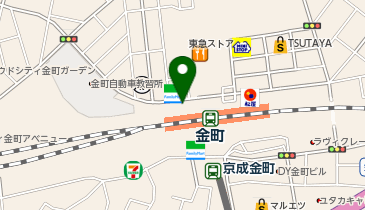 ドコモショップ 金町駅前店の地図画像