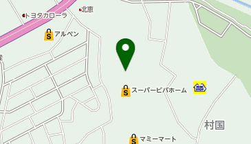 ドコモショップ 岩槻店の地図画像