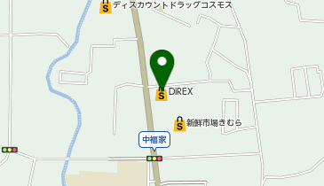 ダイレックス 国分寺店の地図画像