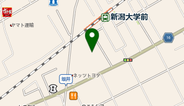 ダイレックス 新潟大学前店の地図画像