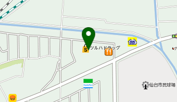 ツルハドラッグ 仙台新田東店の地図画像