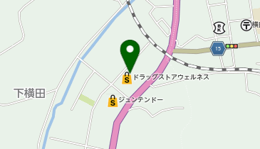 ウェルネス 横田店の地図画像