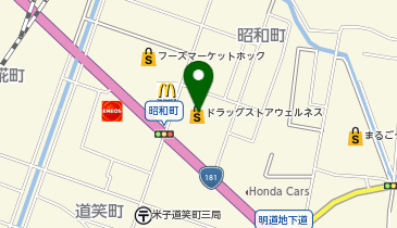 ウェルネス 昭和町店の地図画像