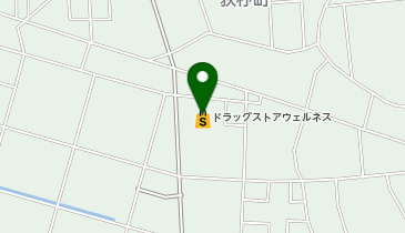 ウェルネス 出雲中野店の地図画像