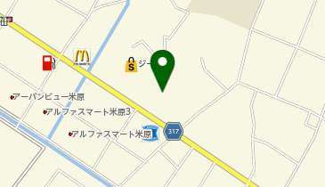 ウェルネス 米原6丁目店の地図画像