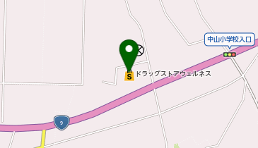 ウェルネス 大山店の地図画像