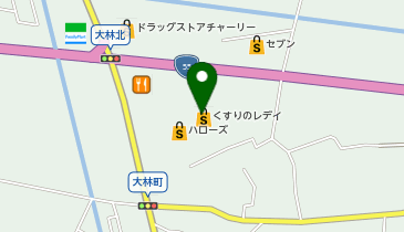 くすりのレデイ 大林店の地図画像