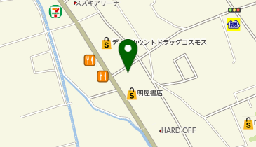 くすりのレデイ 新居浜松木店の地図画像